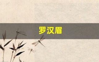 罗汉眉(罗汉眉不是一般人吗)