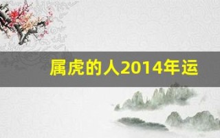 属虎的人2014年运程