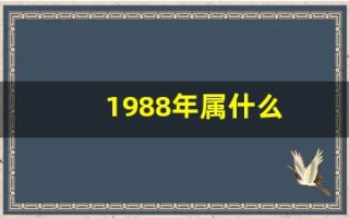 1988年属什么(1988年属什么龙)