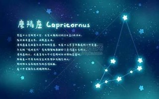 摩羯男(摩羯男性格特点)