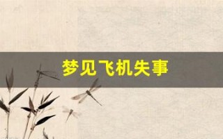 梦见飞机失事(梦见飞机失事自己逃过一劫)
