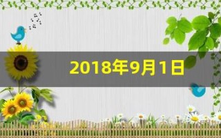 2018年9月1日(2018年9月1日到2019年8月31日出生人口)