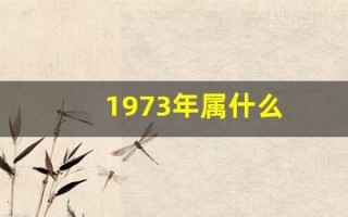 1973年属什么(1969年属什么)