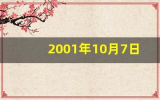2001年10月7日(2001年10月7日出生是什么命)
