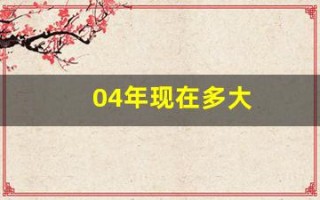 04年现在多大(04年的今年多大年龄)