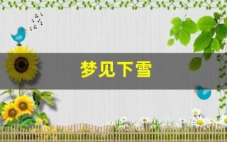 梦见下雪(梦见下雪是什么意思 周公解梦)