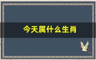 今天属什么生肖(今天属什么)