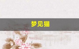 梦见猫(赶都赶不走)