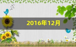 2016年12月(2016年12月16日农历是多少)