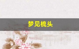 梦见梳头(梦见梳头发掉了好多头发是什么意思)
