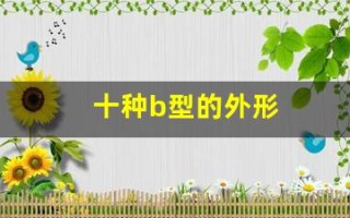 十种b型的外形(十种b型的外形特点)