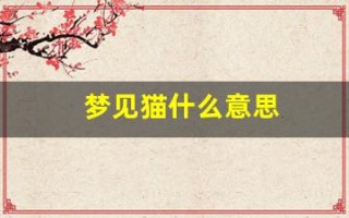 梦见猫什么意思(女人梦见猫什么意思)