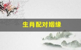 生肖配对姻缘(龙虎生肖配对姻缘)