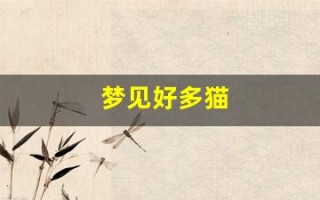 梦见好多猫(梦见好多猫咪围着自己)