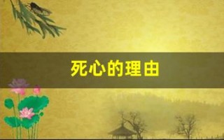 死心的理由(死心的理由歌曲)