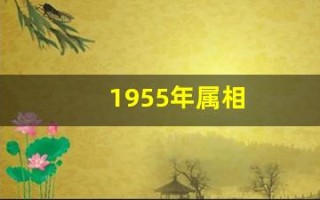 1955年属相(1955年是啥)