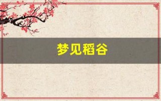 梦见稻谷(梦见稻谷是什么意思)